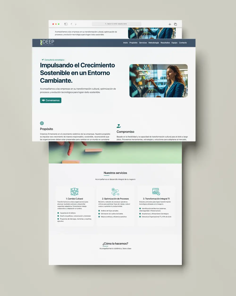 Imagen referencial del proyecto Website Deep Management