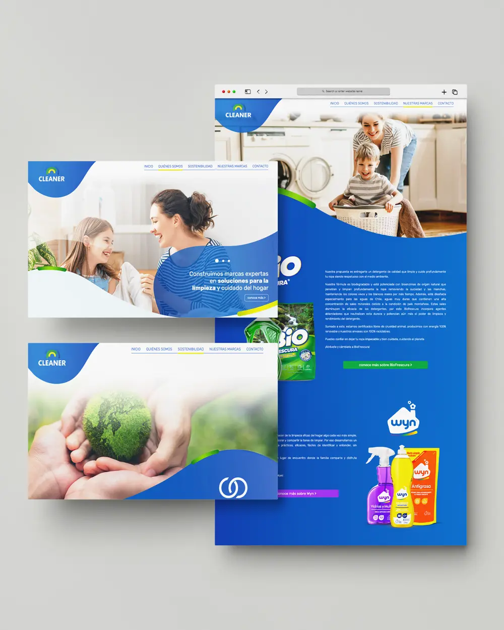 Imagen referencial del sitio web corporativo Cleaner